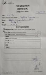 vom Trojangold, hodowla Owczarków Niemieckich Długowłosych