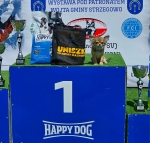 vom Trojangold, hodowla Owczarków Niemieckich Długowłosych