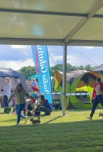 vom Trojangold, hodowla Owczarków Niemieckich Długowłosych