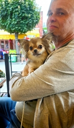 vom Trojangold, hodowla Owczarków Niemieckich Długowłosych