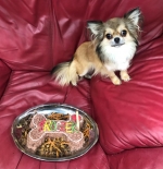 vom Trojangold, hodowla Owczarków Niemieckich Długowłosych