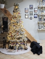 vom Trojangold, hodowla Owczarków Niemieckich Długowłosych