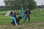 vom Trojangold, hodowla Owczarków Niemieckich Długowłosych