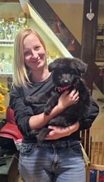 vom Trojangold, hodowla Owczarków Niemieckich Długowłosych