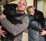 vom Trojangold, hodowla Owczarków Niemieckich Długowłosych