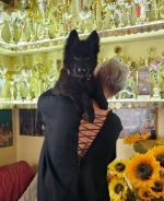 vom Trojangold, hodowla Owczarków Niemieckich Długowłosych