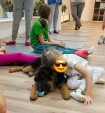 vom Trojangold, hodowla Owczarków Niemieckich Długowłosych