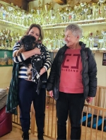 vom Trojangold, hodowla Owczarków Niemieckich Długowłosych