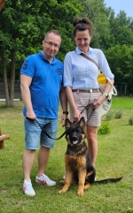 vom Trojangold, hodowla Owczarków Niemieckich Długowłosych