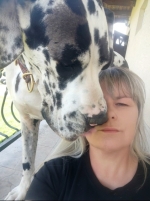 vom Trojangold, hodowla Owczarków Niemieckich Długowłosych