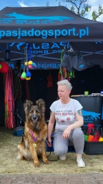 vom Trojangold, hodowla Owczarków Niemieckich Długowłosych