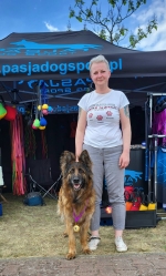 vom Trojangold, hodowla Owczarków Niemieckich Długowłosych