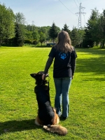 vom Trojangold, hodowla Owczarków Niemieckich Długowłosych