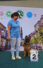 vom Trojangold, hodowla Owczarków Niemieckich Długowłosych