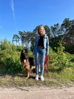 vom Trojangold, hodowla Owczarków Niemieckich Długowłosych