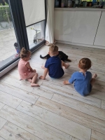 vom Trojangold, hodowla Owczarków Niemieckich Długowłosych