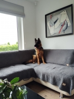 vom Trojangold, hodowla Owczarków Niemieckich Długowłosych