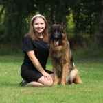 vom Trojangold, hodowla Owczarków Niemieckich Długowłosych