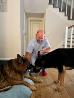 vom Trojangold, hodowla Owczarków Niemieckich Długowłosych