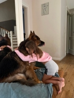 vom Trojangold, hodowla Owczarków Niemieckich Długowłosych