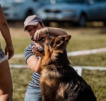 vom Trojangold, hodowla Owczarków Niemieckich Długowłosych
