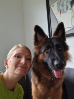 vom Trojangold, hodowla Owczarków Niemieckich Długowłosych