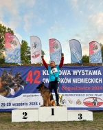 vom Trojangold, hodowla Owczarków Niemieckich Długowłosych