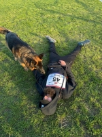 vom Trojangold, hodowla Owczarków Niemieckich Długowłosych