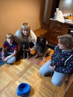 vom Trojangold, hodowla Owczarków Niemieckich Długowłosych