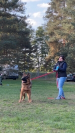 vom Trojangold, hodowla Owczarków Niemieckich Długowłosych