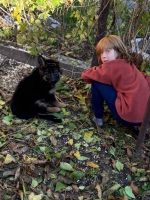 vom Trojangold, hodowla Owczarków Niemieckich Długowłosych