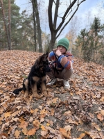 vom Trojangold, hodowla Owczarków Niemieckich Długowłosych