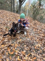 vom Trojangold, hodowla Owczarków Niemieckich Długowłosych