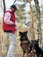 vom Trojangold, hodowla Owczarków Niemieckich Długowłosych