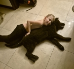 vom Trojangold, hodowla Owczarków Niemieckich Długowłosych