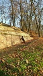 vom Trojangold, hodowla Owczarków Niemieckich Długowłosych