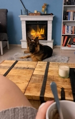 vom Trojangold, hodowla Owczarków Niemieckich Długowłosych