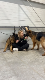 vom Trojangold, hodowla Owczarków Niemieckich Długowłosych