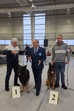 vom Trojangold, hodowla Owczarków Niemieckich Długowłosych