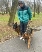 vom Trojangold, hodowla Owczarków Niemieckich Długowłosych