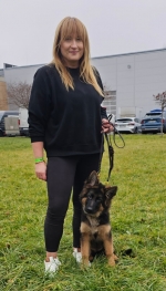 vom Trojangold, hodowla Owczarków Niemieckich Długowłosych