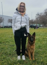 vom Trojangold, hodowla Owczarków Niemieckich Długowłosych