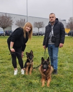 vom Trojangold, hodowla Owczarków Niemieckich Długowłosych