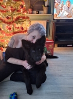 vom Trojangold, hodowla Owczarków Niemieckich Długowłosych