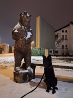 vom Trojangold, hodowla Owczarków Niemieckich Długowłosych