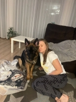 vom Trojangold, hodowla Owczarków Niemieckich Długowłosych