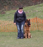 vom Trojangold, hodowla Owczarków Niemieckich Długowłosych