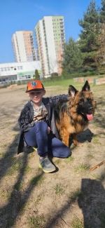 vom Trojangold, hodowla Owczarków Niemieckich Długowłosych