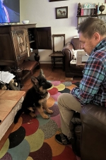 vom Trojangold, hodowla Owczarków Niemieckich Długowłosych