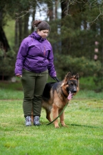 vom Trojangold, hodowla Owczarków Niemieckich Długowłosych